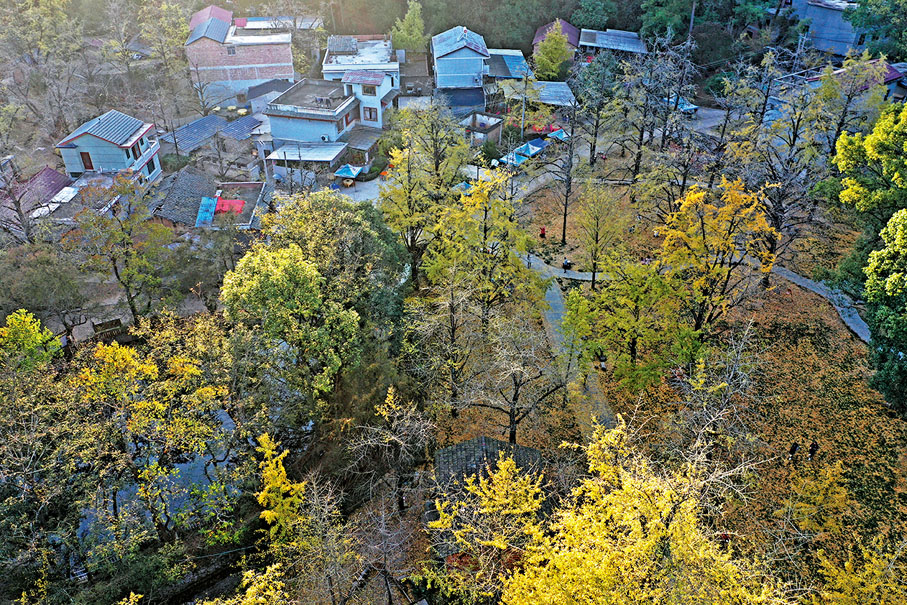 ◆廣西桂林市靈川縣海洋鄉大桐木灣村的風光。
