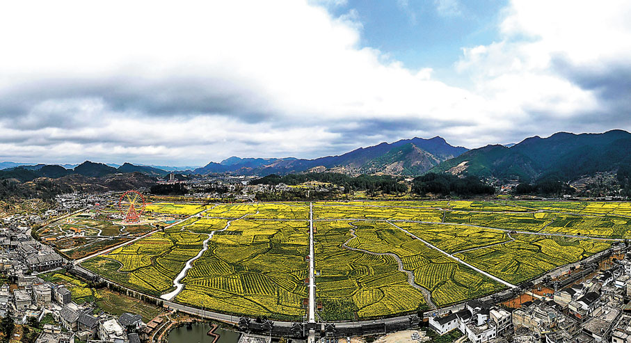 ◆貴州省貴定縣盤江鎮的「金海雪山」