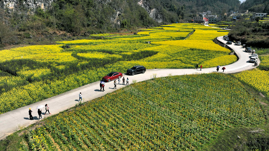 ◆遊客在黔南布依族苗族自治州羅甸縣邊陽鎮油海村的油菜花海賞花、遊玩。