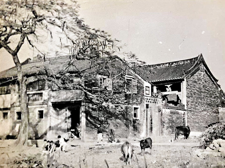 ◆已拆卸的塘坊村思承堂，無復舊觀。 作者供圖