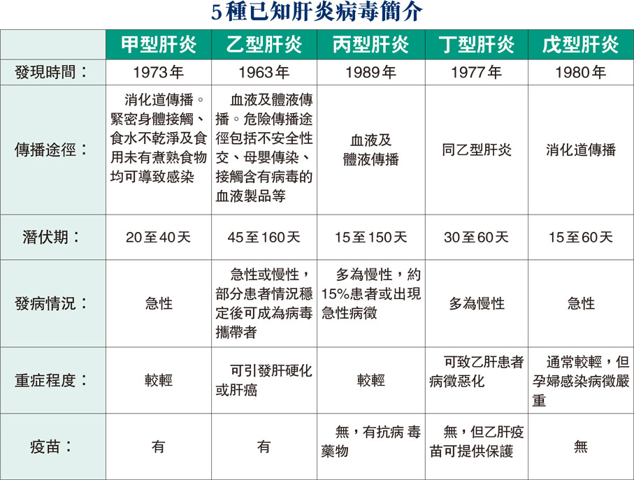 5種已知肝炎病毒簡介