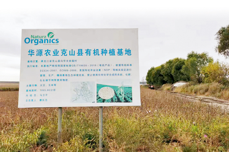 ◆ 位於黑龍江克山縣的華源有機大豆、玉米種植基地。 受訪者供圖
