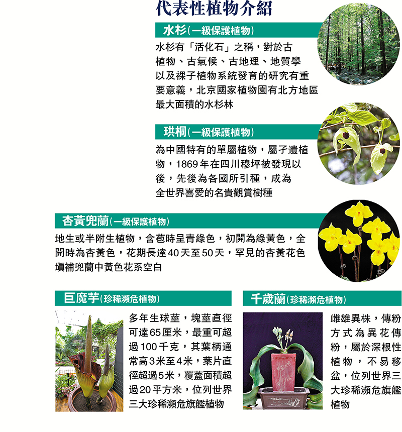 ◆代表性植物介紹