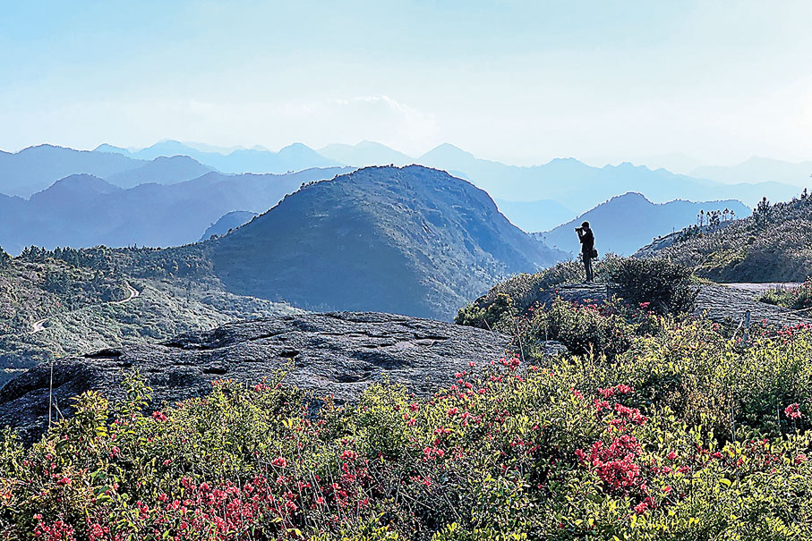 ◆遊客在五虎山國家森林公園登高望遠。