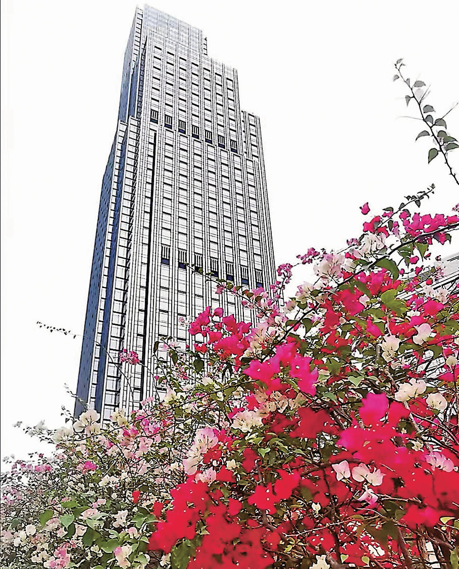 ◆尖東站平台兒童遊樂場斜路的混色簕杜鵑花叢。