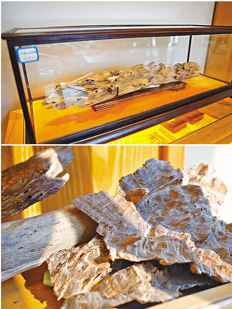 ◆藍均熾致力讓沉香加工產品為更多市民所用。