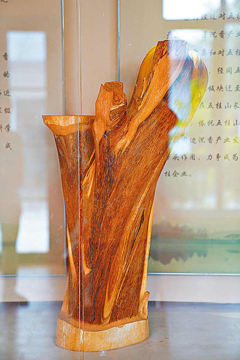 ◆野生沉香有 「片香萬錢」的說法。