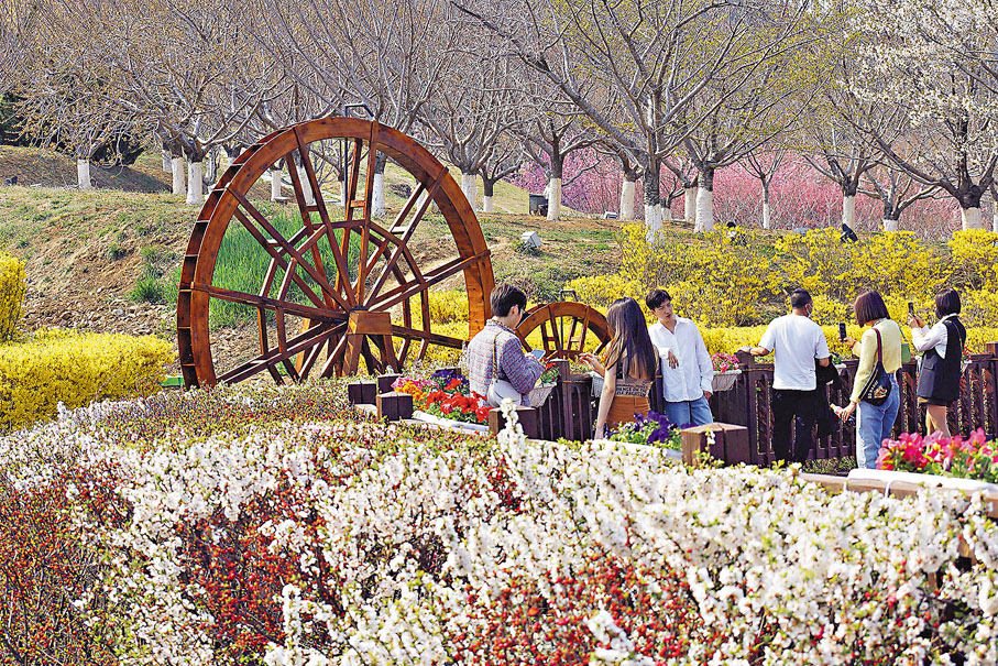 ◆遊客在水車前打卡。