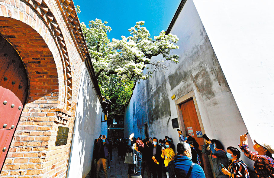 ◆ 福州市民在「三坊七巷」賞花。資料圖片