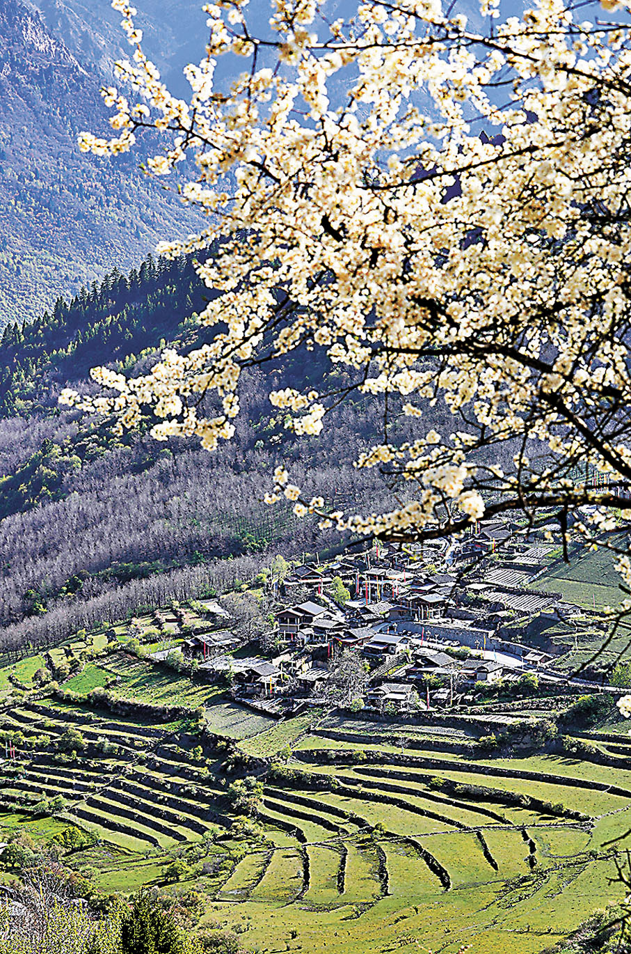 ◆中查溝常年有五彩斑斕的彩林