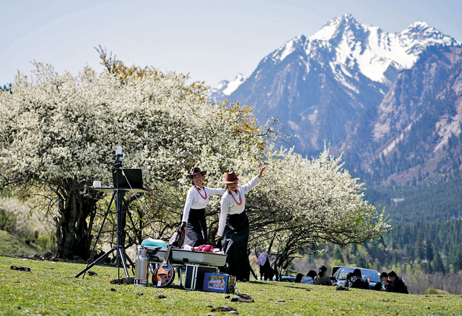 ◆中查溝居民在草甸上直播