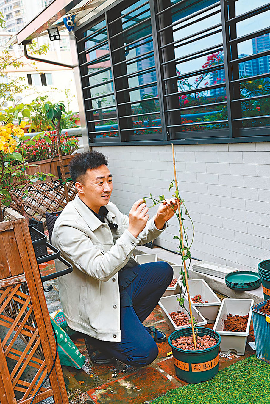 ◆ 孫弘睿在自家小花園種植百香果，期待豐收的一天。香港文匯報記者胡若璋 攝