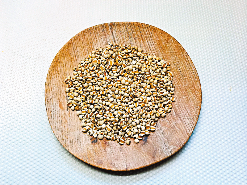 ◆薏米，今次使用的是薏苡仁種類。