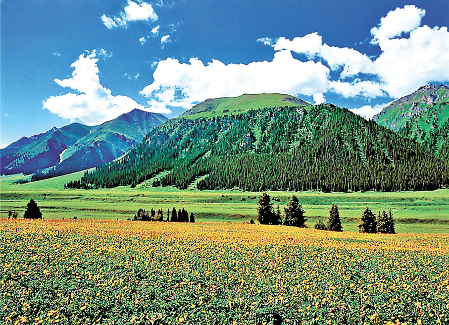 ◆伊犁哈薩克自治州新源縣那拉提野花盛開