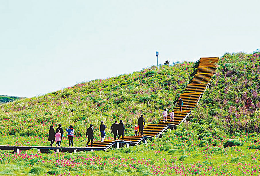 ◆遊客在塔城地區裕民縣巴爾魯克景區踏青賞花 通訊員  楊化光