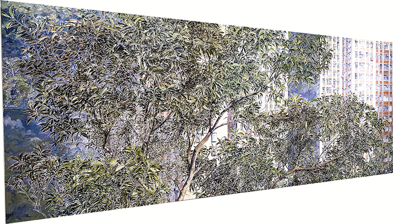 ◆《鐵冬青樹》