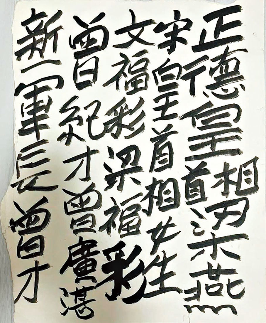 香港書籍 九龍皇帝 曾灶財 Tsang Tsou-choi アート集 九龍皇帝」物語｜