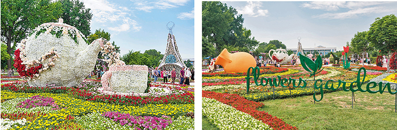 ◆塔什干花卉節上，花卉眾多，色彩繽紛。