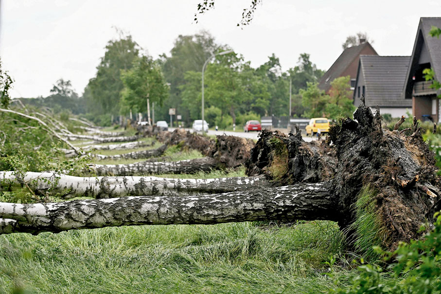 ◆ 德國西部有路邊樹木被龍捲風吹得連根拔起。 法新社