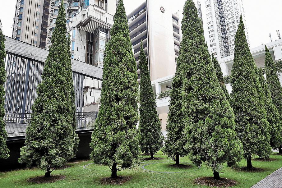 ◆ 「賞森．悅木」。 香港文匯報記者  攝