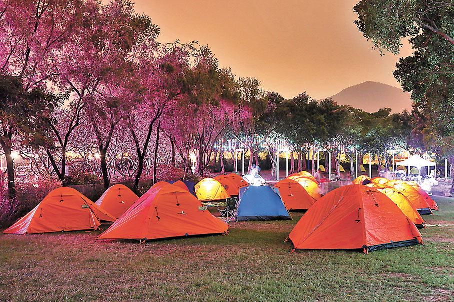 ◆ 大埔海濱公園「親子營敍星光下」活動。康文署供圖