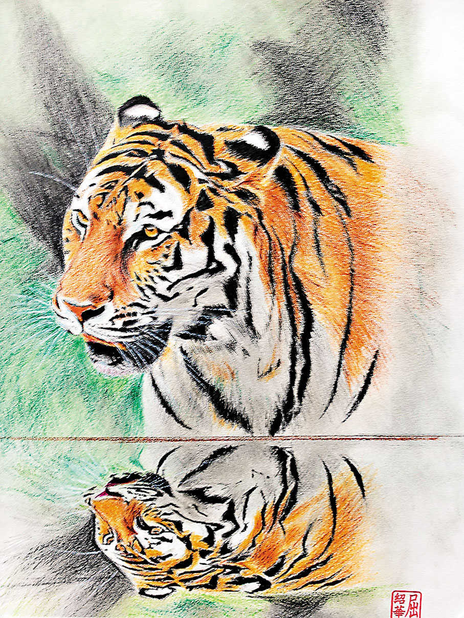 ◆屈紹華從事裁縫工作幾十年，繪畫靠退休後自學，這是他畫的虎。