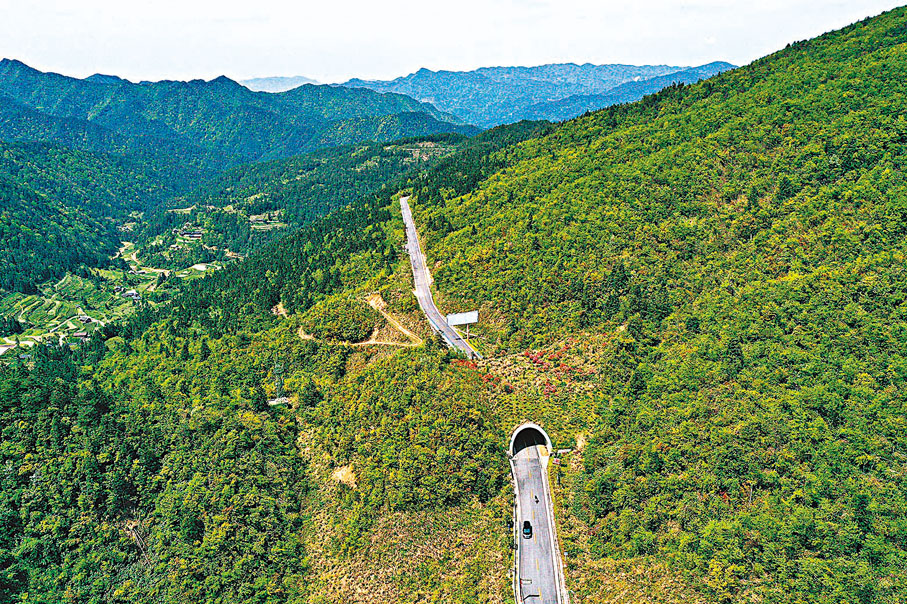 ◆梵淨山國家級自然保護區緩衝區拍攝的生物廊道。