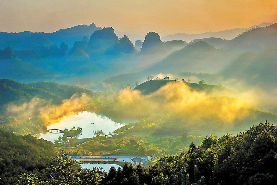 ◆ 2021年，中國成立了第一批國家公園，其中武夷山國家公園森林覆蓋率超過97%，風景秀麗，生活着許多珍稀植物、鳥類、蛇類及昆蟲。 作者供圖