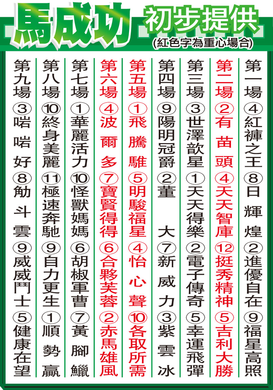 馬成功初步提供