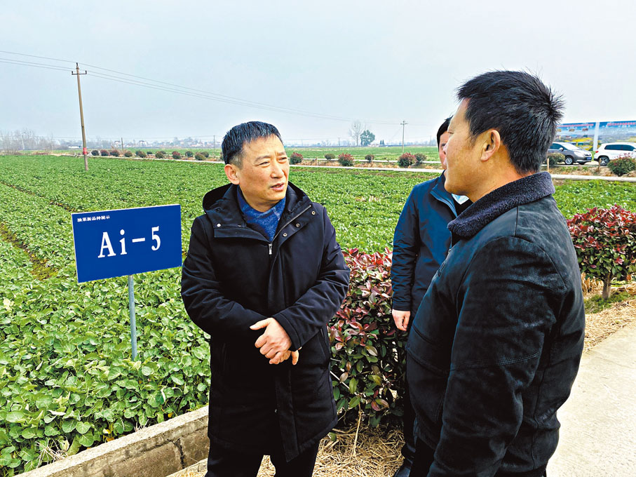 ◆趙皖平（左一）在安徽省馬鞍山市農村開展調研。受訪者供圖