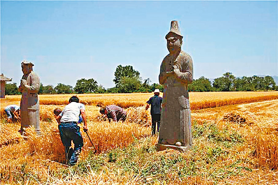 ◆河南鞏義農民在石像周圍手割小麥。  受訪者供圖