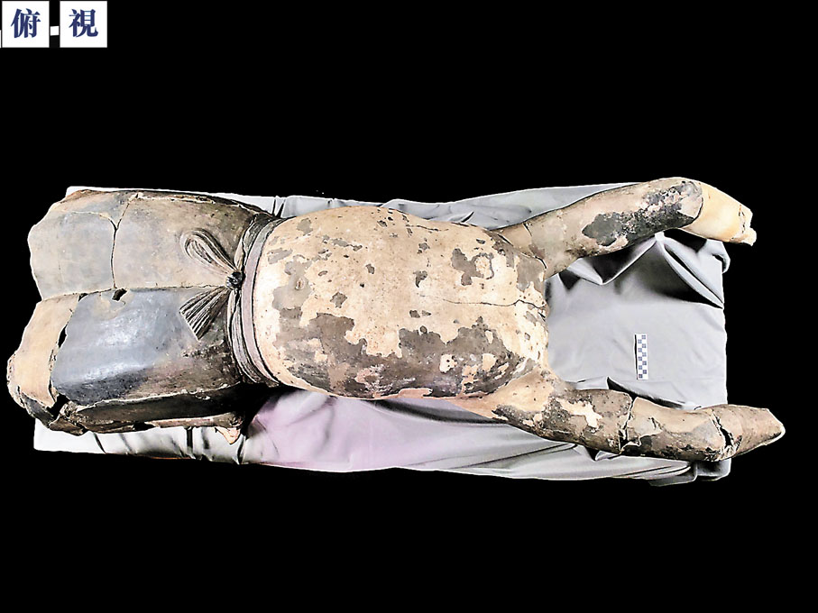 ◆俯視「仰臥俑」，右邊為其上半身。 受訪者供圖