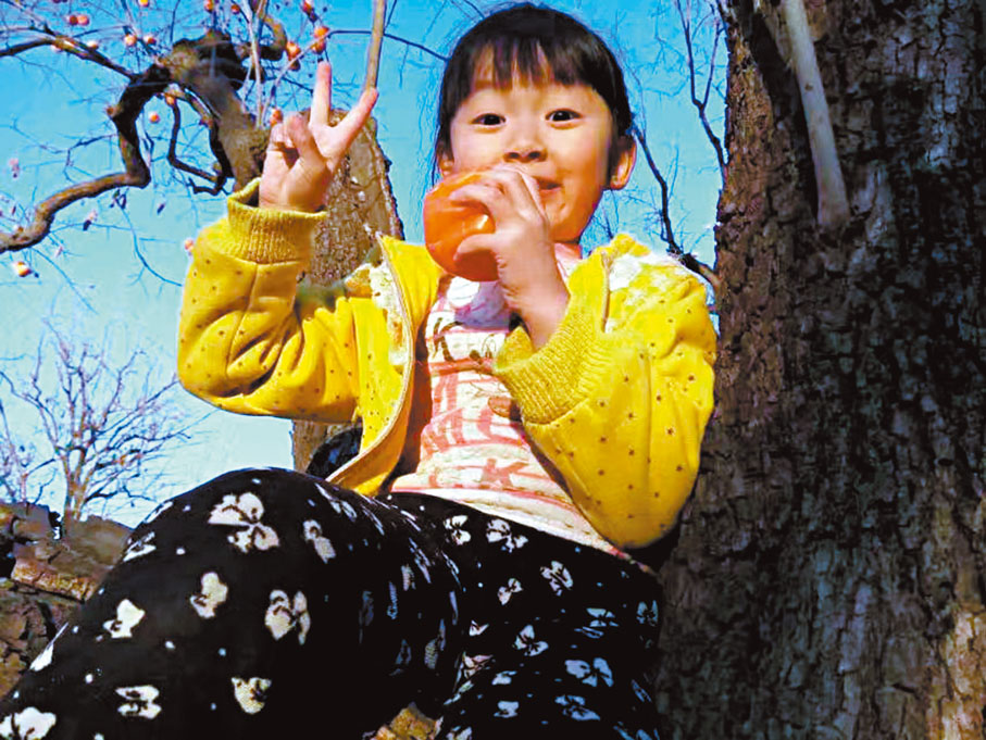 ◆吸管柿深受小朋友喜愛 。