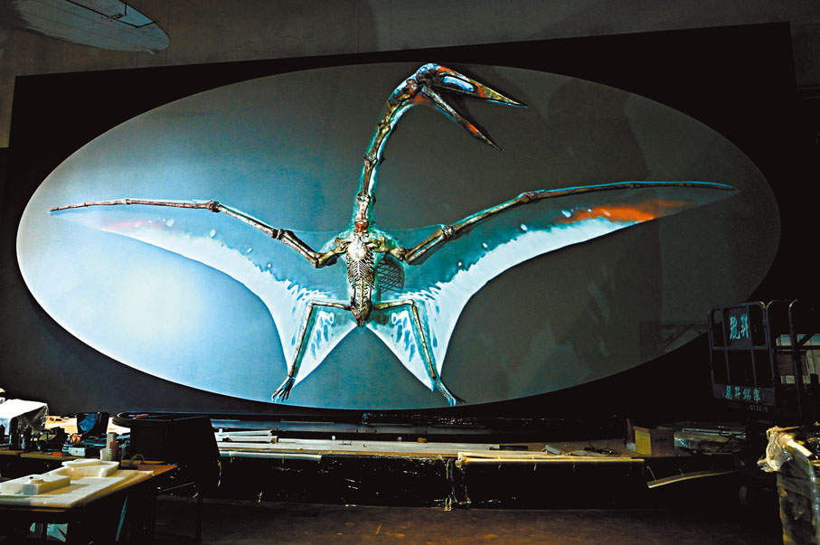 圖示為哈特茲哥翼龍的原大復原骨架，館方特別應用光雕投影技術，重構翼龍的原貌。