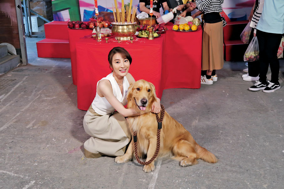 ◆ 林夏薇表示自己有多年養狗經驗。