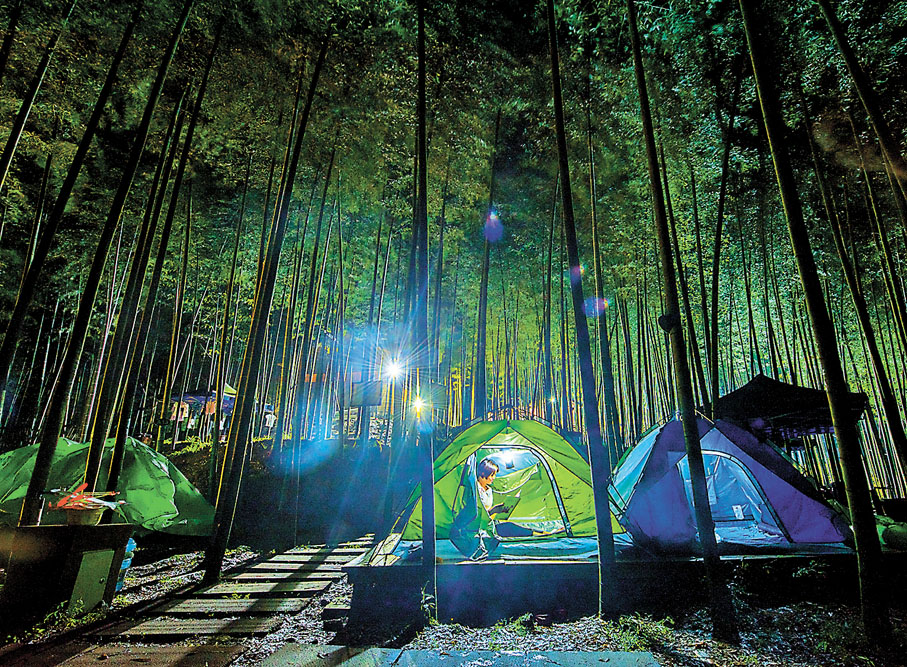 ◆遊客在竹林裏露營