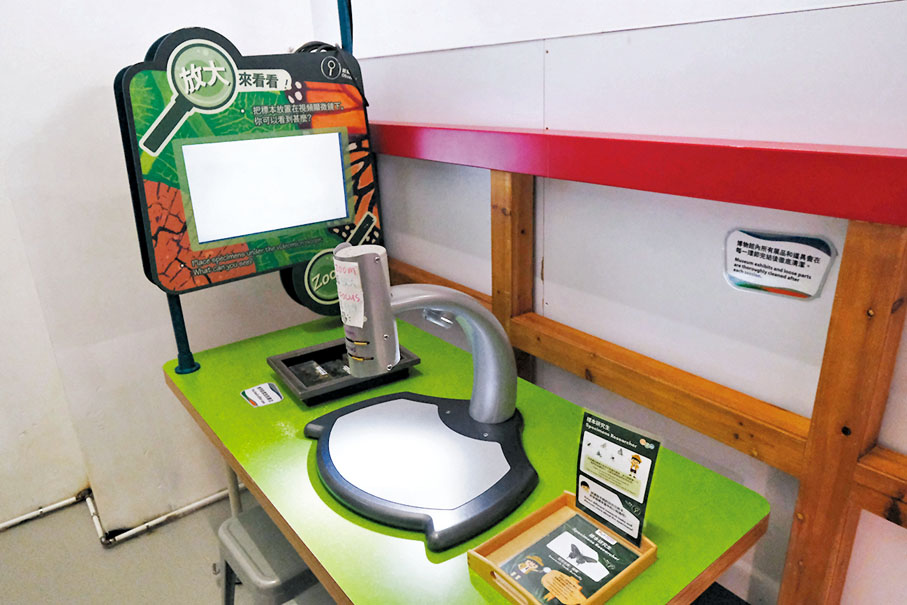 ◆博物館內有昆蟲標本供小朋友細看。 香港文匯報記者 攝