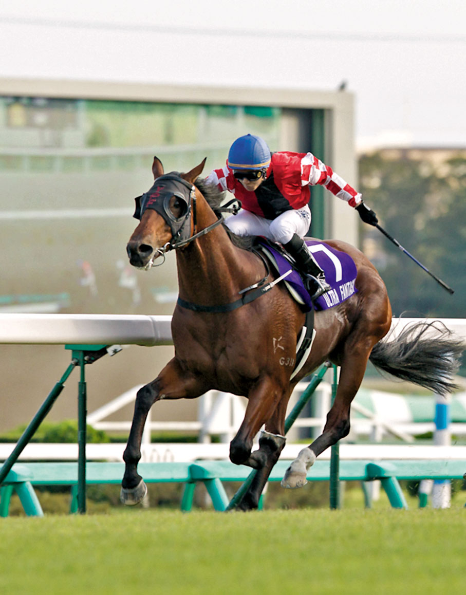 ◆「極奇妙」（紅色及白格仔綵衣）曾揚威日本。馬會供圖