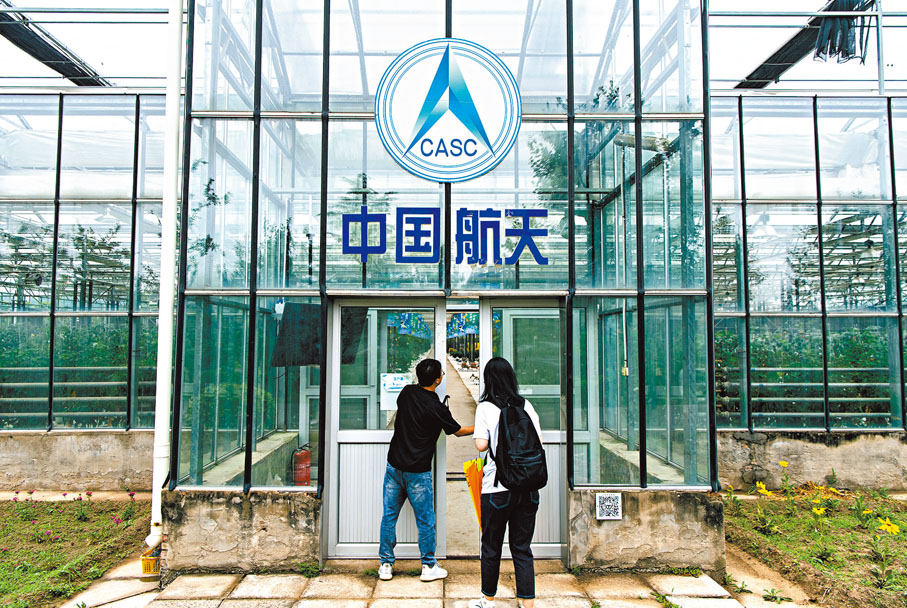 ◆在北京通州的航天育種核心示範基地，有「太空種子」培育展示大棚。中新社