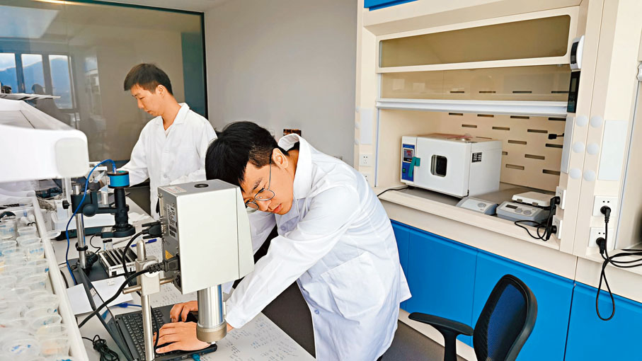 ◆ 香港城市大學科研團隊在河套深港科技創新合作區實驗室做實驗。 資料圖片