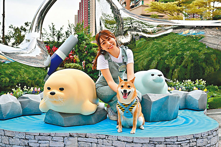 ◆耍廢海豹們