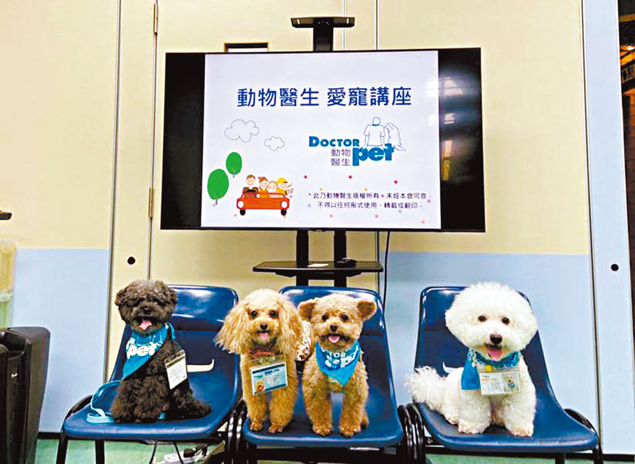 ◆動物醫生考牌學前工作坊