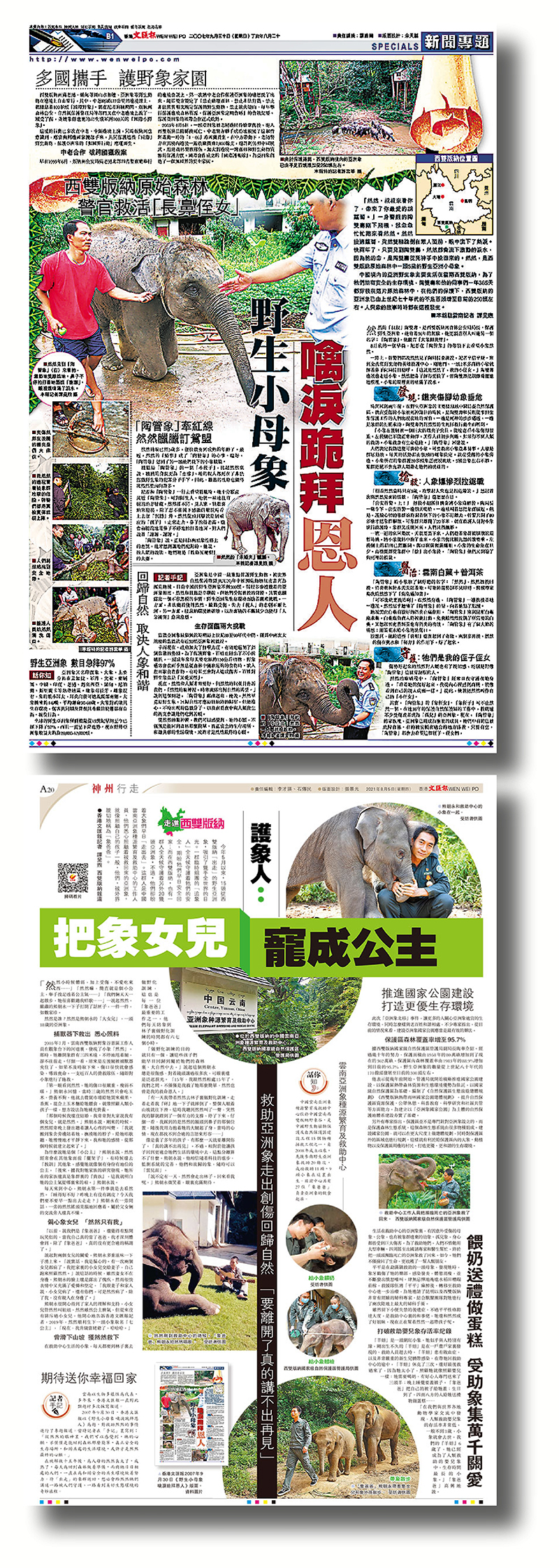 ◆香港文匯報於2007年9月 30 日報道然然的救助故事（上圖），2021年8月5日報道照顧然然的「象爸爸」的故事（下圖）。資料圖片