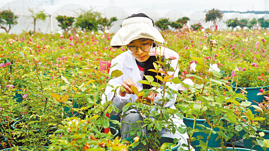 ◆大學生在基地作業。