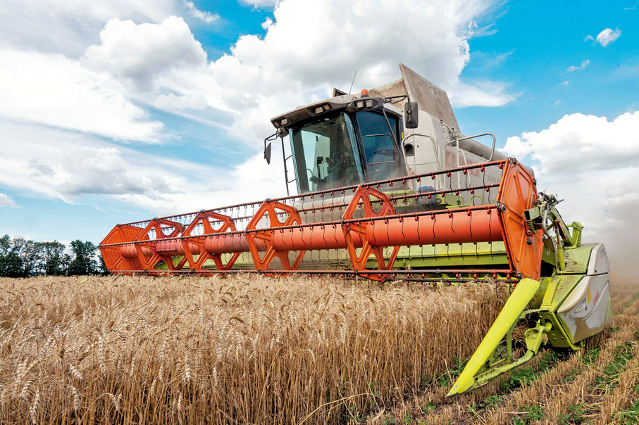 ◆ 普京表示在烏克蘭糧食出口問題上取得進展。 法新社