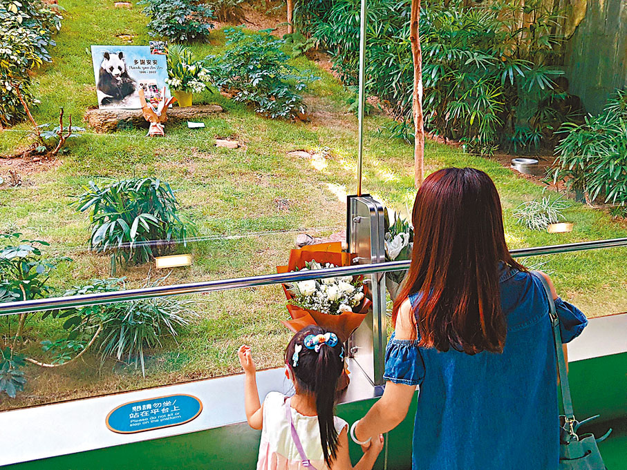 ◆市民到海洋公園「四川奇珍館」悼念大熊貓「安安」。  香港文匯報記者  攝