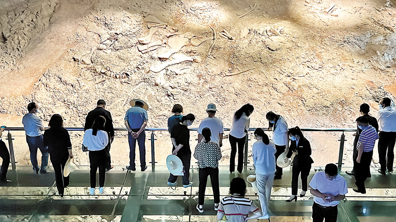 ◆中國祿豐恐龍大遺址（遺址館），遊客們在近距離觀察恐龍化石。 香港文匯報記者譚旻煦  攝