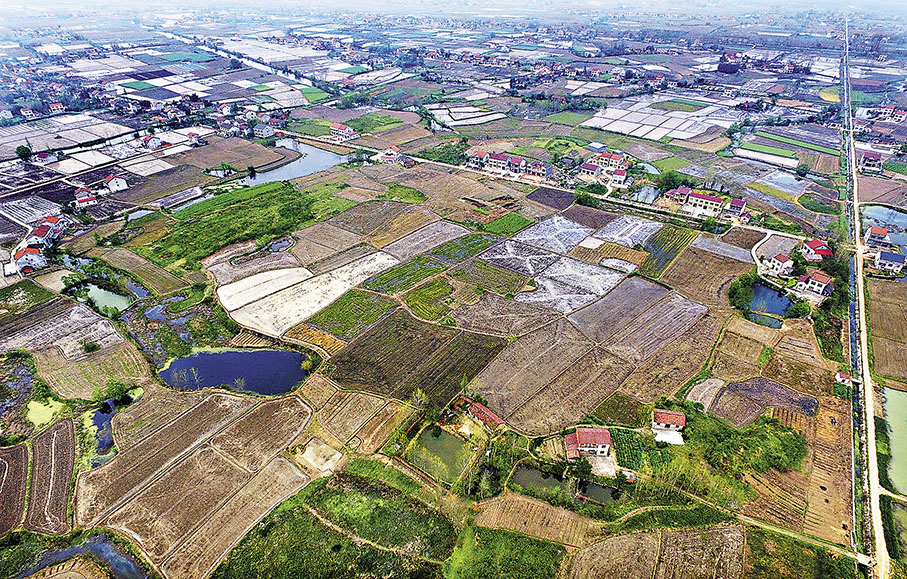 ◆雞叫城遺址位於湖南澧縣澧陽平原的田野之中。