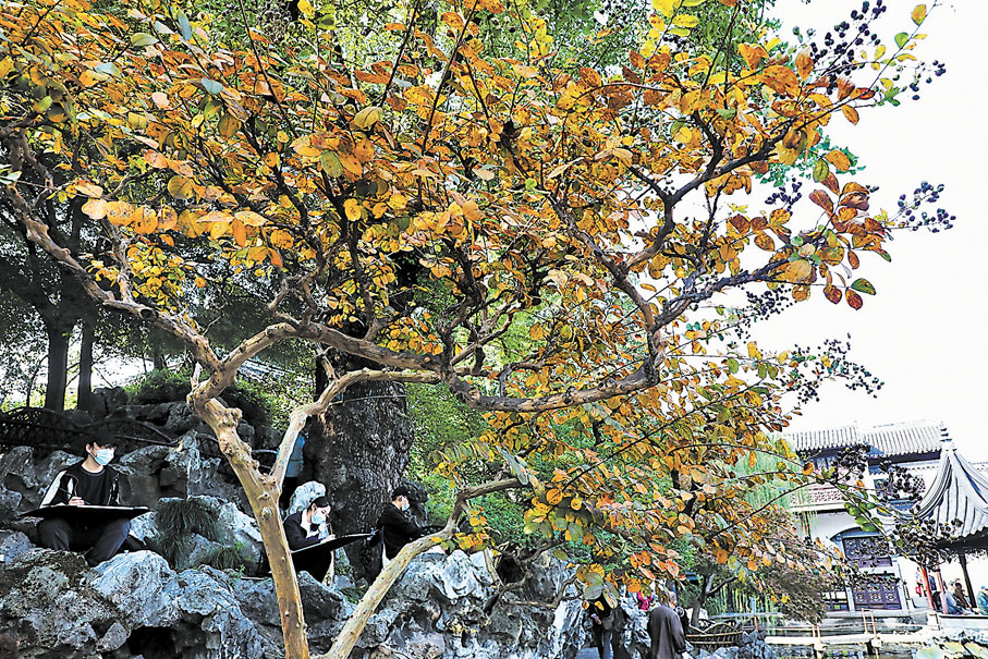 ◆古典園林獅子林秋色。