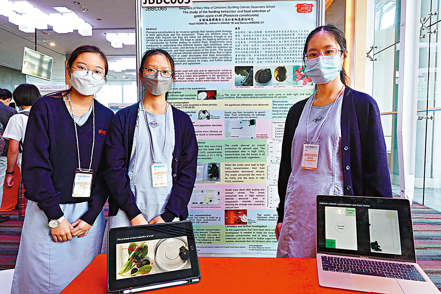 ◆天主教母佑會蕭明中學的項目「福壽螺攝食行為、食物選擇和趨光性的研究」希望用環保方式消滅福壽螺。